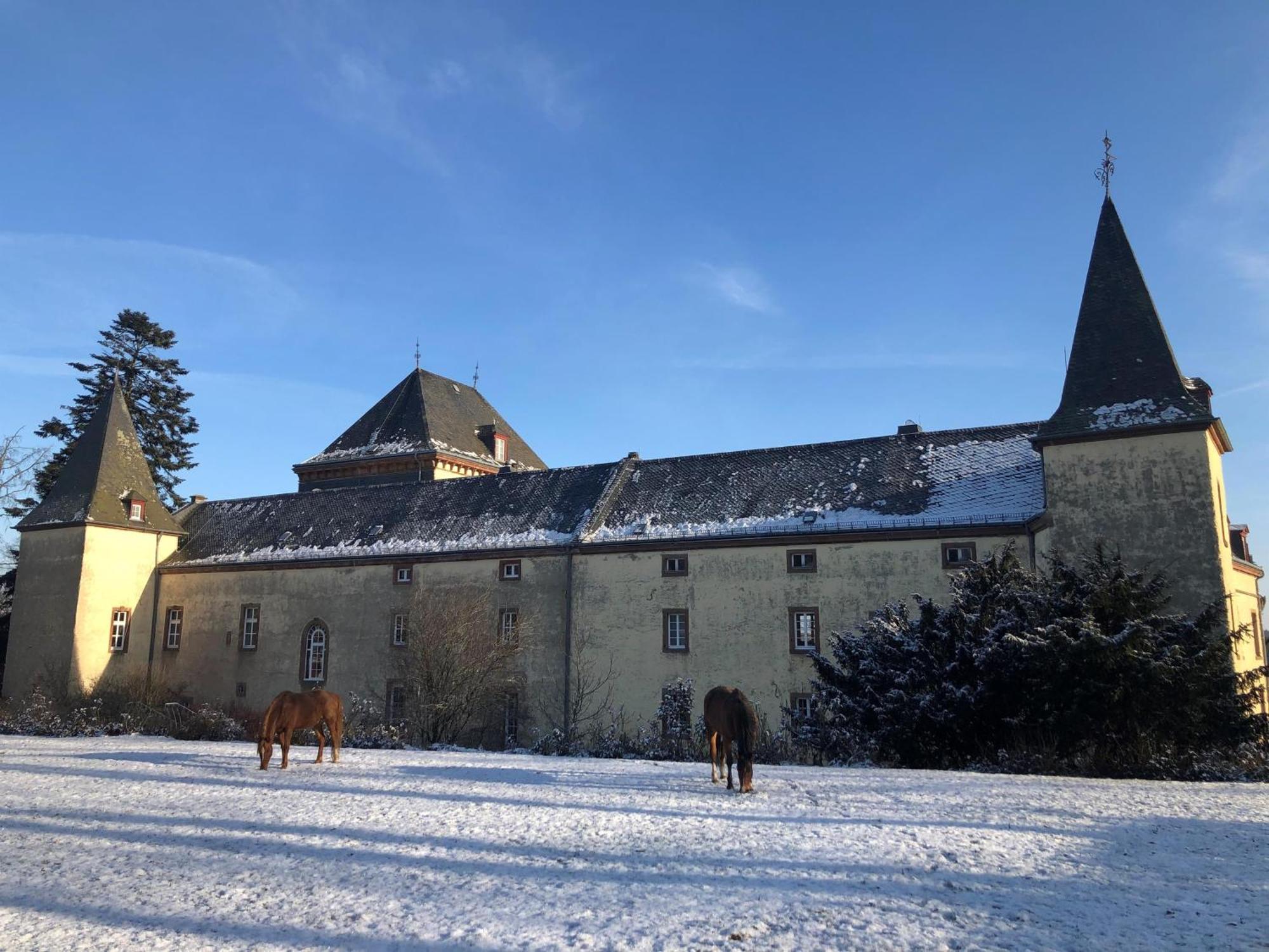 L' Extravagante Im Garten Von Schloss Schmidtheim Εξωτερικό φωτογραφία